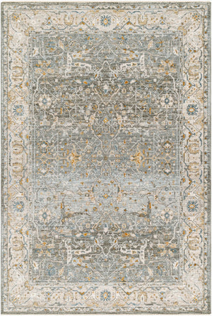 Livabliss Dresden Traditional Polyester Area Rug Machine Woven in Turkey for Living and Dining Rooms Dusty Sage, Tau 5' x 7'5" DRE2310-575