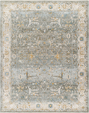 Livabliss Dresden Traditional Polyester Area Rug Machine Woven in Turkey for Living and Dining Rooms Dusty Sage, Tau 7'10" x 10'2" DRE2310-710103