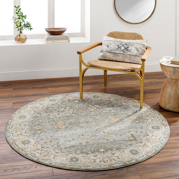 Livabliss Dresden Traditional Polyester Area Rug Machine Woven in Turkey for Living and Dining Rooms Dusty Sage, Tau 7'10" x 7'10" DRE2310-710RD