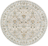 Dresden DRE-2311 7'10" x 7'10" Machine Woven Rug DRE2311-710RD Livabliss Surya