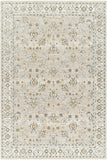 Dresden DRE-2311 9' x 12'2" Machine Woven Rug DRE2311-9122 Livabliss Surya