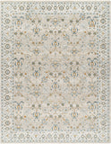 Dresden DRE-2311 7'10" x 10'2" Machine Woven Rug DRE2311-710103 Livabliss Surya