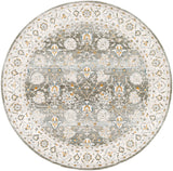 Dresden DRE-2312 7'10" x 7'10" Machine Woven Rug DRE2312-710RD Livabliss Surya