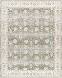 Dresden DRE-2312 7'10" x 10'2" Machine Woven Rug DRE2312-710103 Livabliss Surya