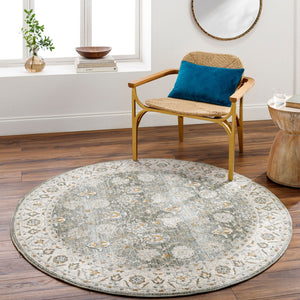Livabliss Dresden Traditional Medallion Polyester Area Rug Machine Woven in Turkey for Large Rooms Taupe, Dusty Sa 7'10" x 7'10" DRE2312-710RD