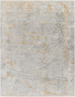Livabliss Dresden Neutral Fringe Area Rug Machine Woven Polyester for Living Room or Bedroom Medium Gray, Wh 5' x 7'5" DRE2313-575