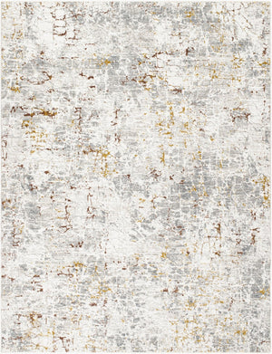 Livabliss Dresden Machine Woven Polyester Area Rug with Fringe Edges for Living or Dining Rooms White, Gray 2' x 2'11" DRE2315-23