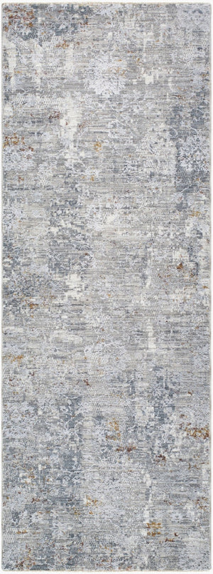 Livabliss Dresden Machine Woven Polyester Area Rug with Fringe for Modern Living Spaces Medium Gray, Gr 2'7" x 7'3" DRE2319-2773