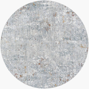 Livabliss Dresden Machine Woven Polyester Area Rug with Fringe for Modern Living Spaces Medium Gray, Gr 7'10" x 7'10" DRE2319-710RD