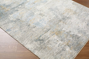 Livabliss Dresden Machine Woven Polyester Area Rug with Fringe Border for Large Living Spaces Medium Gray, Gr 2' x 2'11" DRE2321-23