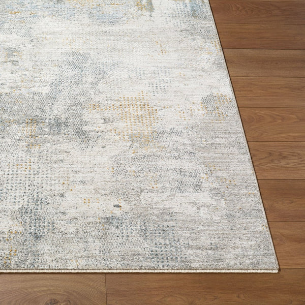 Livabliss Dresden Machine Woven Polyester Area Rug with Fringe Border for Large Living Spaces Medium Gray, Gr 2' x 2'11" DRE2321-23