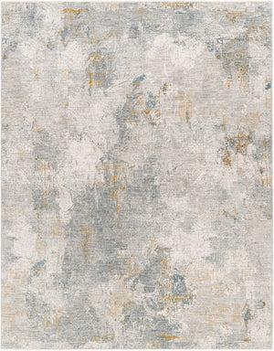 Livabliss Dresden Machine Woven Polyester Area Rug with Fringe for Living or Dining Rooms Medium Gray, Gr 2' x 2'11" DRE2322-23