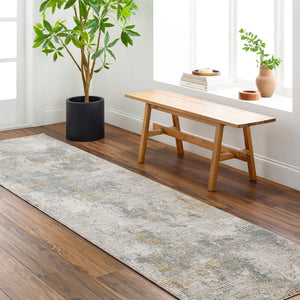 Livabliss Dresden Machine Woven Polyester Area Rug with Fringe for Living or Dining Rooms Medium Gray, Gr 2'7" x 10' DRE2322-2710
