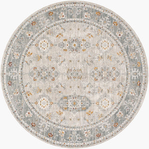 Livabliss Dresden Traditional Fringe Polyester Area Rug for Large Living Dining Bedroom Spaces Medium Gray, Gr 7'10" x 7'10" DRE2325-710RD