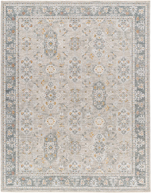 Dresden DRE-2325 9' x 12'2" Machine Woven Rug DRE2325-9122 Livabliss Surya