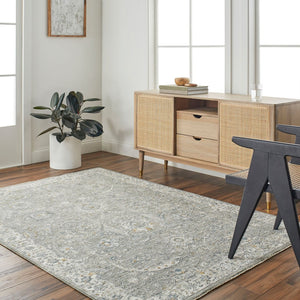 Livabliss Dresden Traditional Medallion Area Rug Machine Woven Polyester for Living and Dining Rooms Gray, Medium Gr 2' x 2'11" DRE2327-23