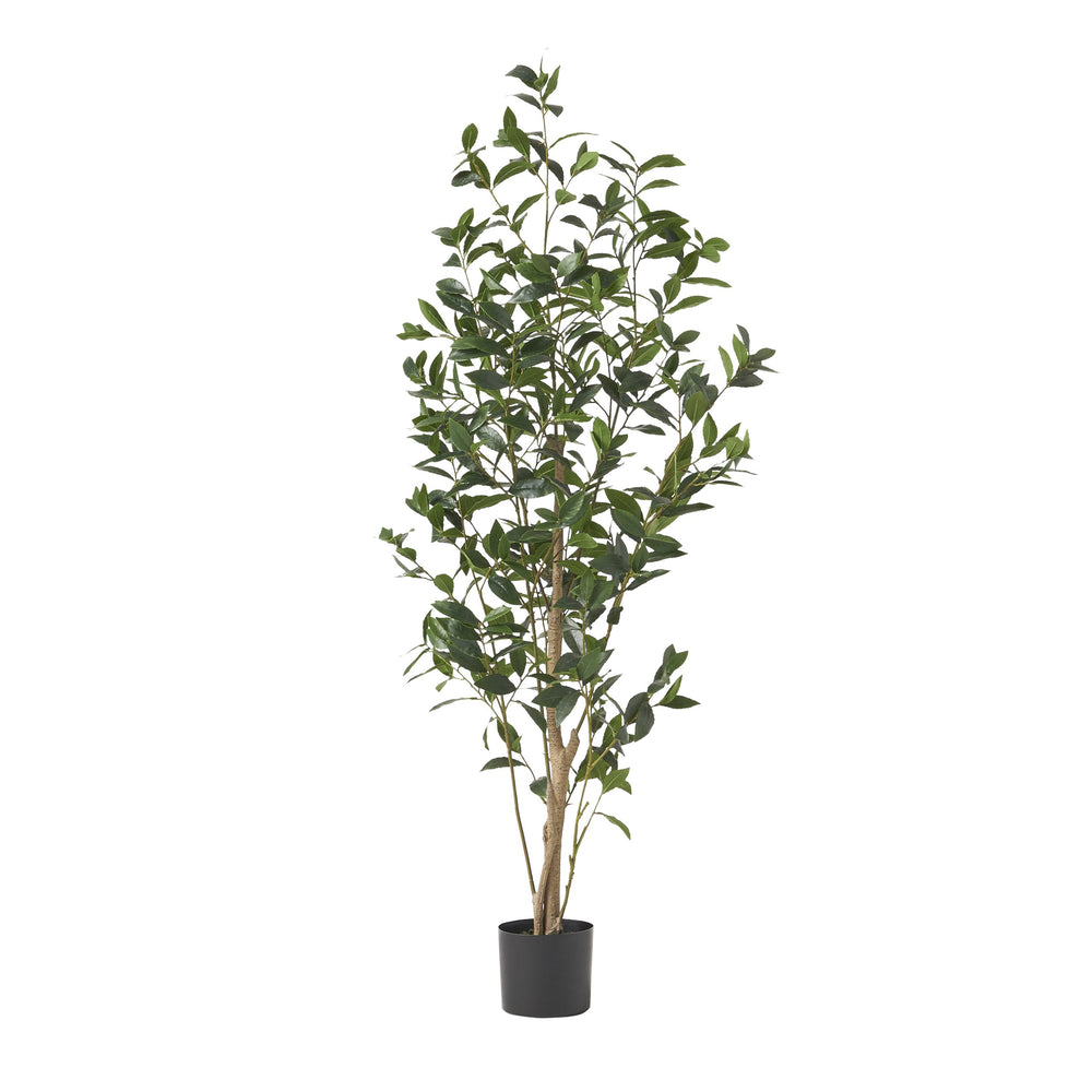 English Elm 150cm Artificial Laurel Tree Faux Potted Plant with Flexible Iron Frame for Any Room 70537.00