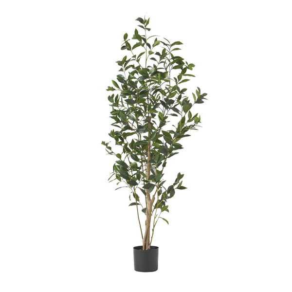 English Elm 150cm Artificial Laurel Tree Faux Potted Plant with Flexible Iron Frame for Any Room 70537.00