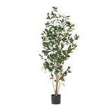 Christopher Knight Home® - Noble House - Atoka 5.5' X 2' Artificial Laurel Tree, Green