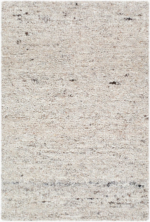 Livabliss Desire Hand Tufted Wool Area Rug Indian Exotic Pattern Large Living Room Floor Accent Beige, Taupe 2' x 3' DSE2302-23