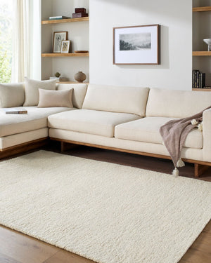 Livabliss Desire Hand-tufted Wool Area Rug Exotic Bohemian Design for Large Living Spaces Ivory, Cream 8' x 10' DSE2303-810