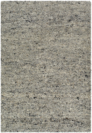Desire DSE-2304 9' x 12' Handmade Rug DSE2304-912  Grey, Sage, Metallic - Silver, Ash Surya