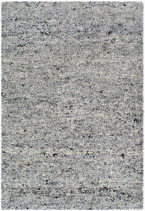 Livabliss Desire Hand-tufted Wool Area Rug Exotic Indian Pattern for Large Living Spaces Charcoal, Ash G 2' x 3' DSE2304-23