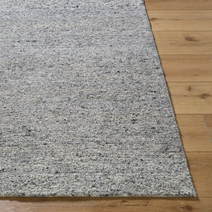 Livabliss Desire Hand-tufted Wool Area Rug Exotic Indian Pattern for Large Living Spaces Charcoal, Ash G 2' x 3' DSE2304-23