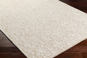 Surya Dreamscape Hand Tufted 2' X 3' Luxurious Viscose & Wool Rug - Exquisite Artisan Craftsmanship! Beige Wool,Viscose Dsp2306-23