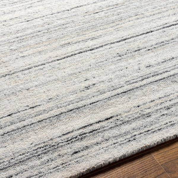 Surya Daisy Handmade 2' X 3' Rug - Modern Minimalist Design, Durable Polyester, Perfect For High Traffic Areas Charcoal Recycled Pet Yarn Dsy2300-23