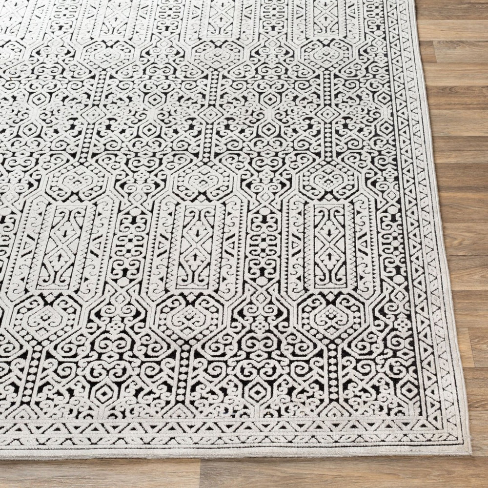 Livabliss Dantel Geometric Low Pile Area Rug Machine Woven Polypropylene for Entryway Hallway DTL2302-2211