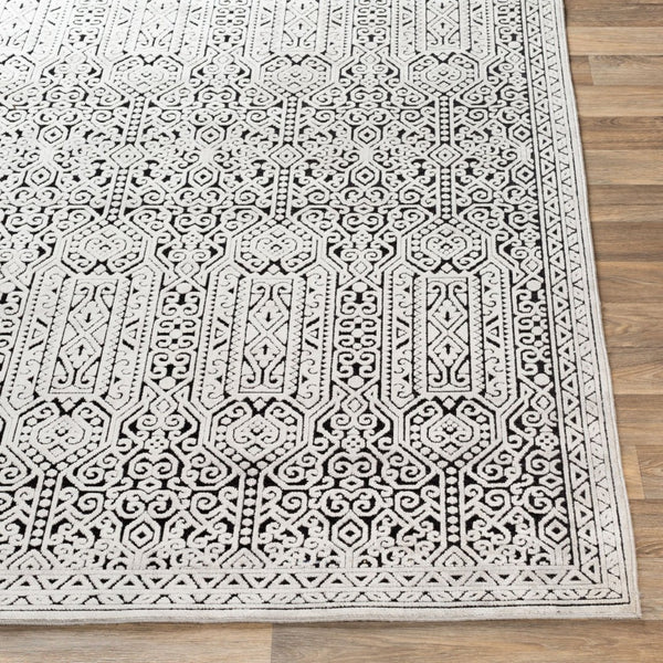 Livabliss Dantel Geometric Low Pile Area Rug Machine Woven Polypropylene for Entryway Hallway DTL2302-2211