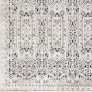 Livabliss Dantel Geometric Low Pile Area Rug Machine Woven Polypropylene for Entryway Hallway DTL2302-2211