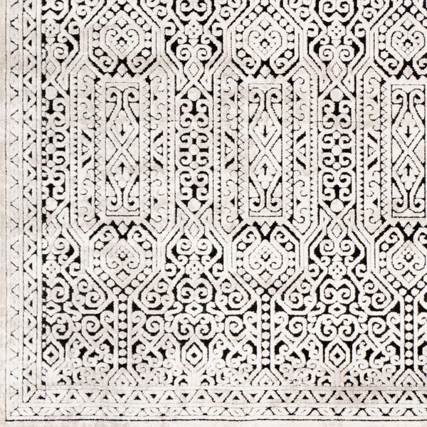 Livabliss Dantel Geometric Low Pile Area Rug Machine Woven Polypropylene for Entryway Hallway DTL2302-2211