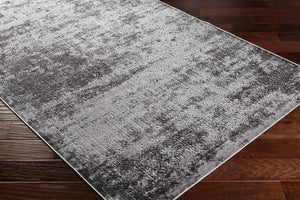 Livabliss Dantel Traditional Low Pile Accent Rug Machine Woven Entryway Bedroom Floor Mat DTL2303-2211