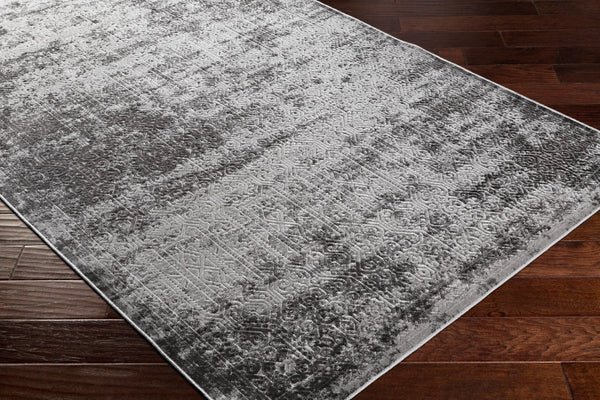 Livabliss Dantel Traditional Low Pile Accent Rug Machine Woven Entryway Bedroom Floor Mat DTL2303-2211