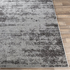 Livabliss Dantel Traditional Low Pile Accent Rug Machine Woven Entryway Bedroom Floor Mat DTL2303-2211