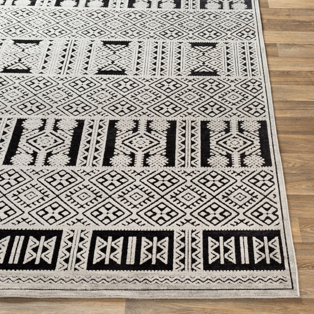 Livabliss Dantel Global Geometric Machine Woven Polyester Rug Low Pile Entryway Accent DTL2304-2211