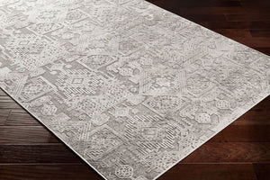 Livabliss Dantel Geometric Low Pile Area Rug Machine Woven in Turkey for Entryways and Bedrooms DTL2309-2211