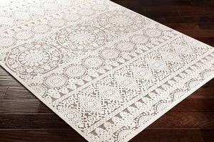 Livabliss Dantel Traditional Turkish Machine Woven Rug Low Pile Entryway Accent in Poly Blend DTL2317-2211