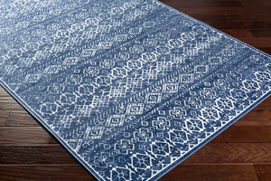 Livabliss Dantel Global Inspired Machine Woven Accent Rug Low Pile Entryway Floor DTL2326-2211