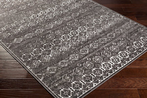 Livabliss Dantel Turkish Machine Woven Low Pile Accent Rug for Entryways and Hallways DTL2327-2211