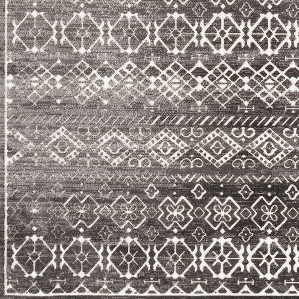 Livabliss Dantel Turkish Machine Woven Low Pile Accent Rug for Entryways and Hallways DTL2327-2211