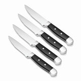 Lenox Oneida Jumbo 4-Piece Steak Knife Set Multi, NO COLOR MULTI 14326