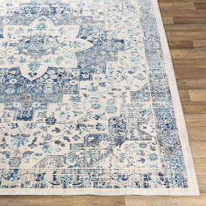 Livabliss Dublin Traditional Polypropylene Area Rug Turkish Woven Low Pile Entryway Accent Light Blue, Nav 2' x 3'2" DUB2302-232