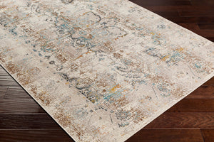 Livabliss Dublin Traditional Machine Woven Polypropylene Rug for Entryways and High Traffic Areas Taupe, Aqua 3'11" x 5'7" DUB2307-31157
