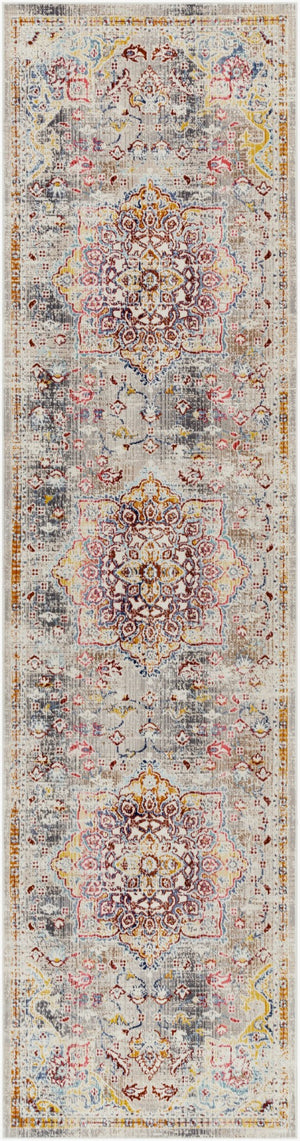 Livabliss Dublin Traditional Medallion Runner Rug Polypropylene Woven Hallway Accent DUB2308-29103