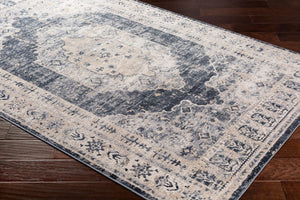 Livabliss Durham Traditional Machine Woven Polypropylene Accent Rug for Entryways and Bedside Tan, Gray 6'8" x 9'6" DUR1015-6796