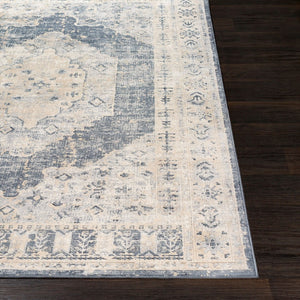 Livabliss Durham Traditional Machine Woven Polypropylene Accent Rug for Entryways and Bedside Tan, Gray 6'8" x 9'6" DUR1015-6796