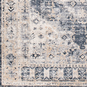 Livabliss Durham Traditional Machine Woven Polypropylene Accent Rug for Entryways and Bedside Tan, Gray 6'8" x 9'6" DUR1015-6796